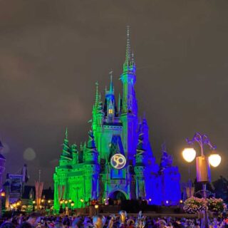 WDWマジックキングダムのキャラクターダイニング＆アトラクション┃2022年夏休み子連れWDW＆DLR旅行⑫｜シン旅ブログ